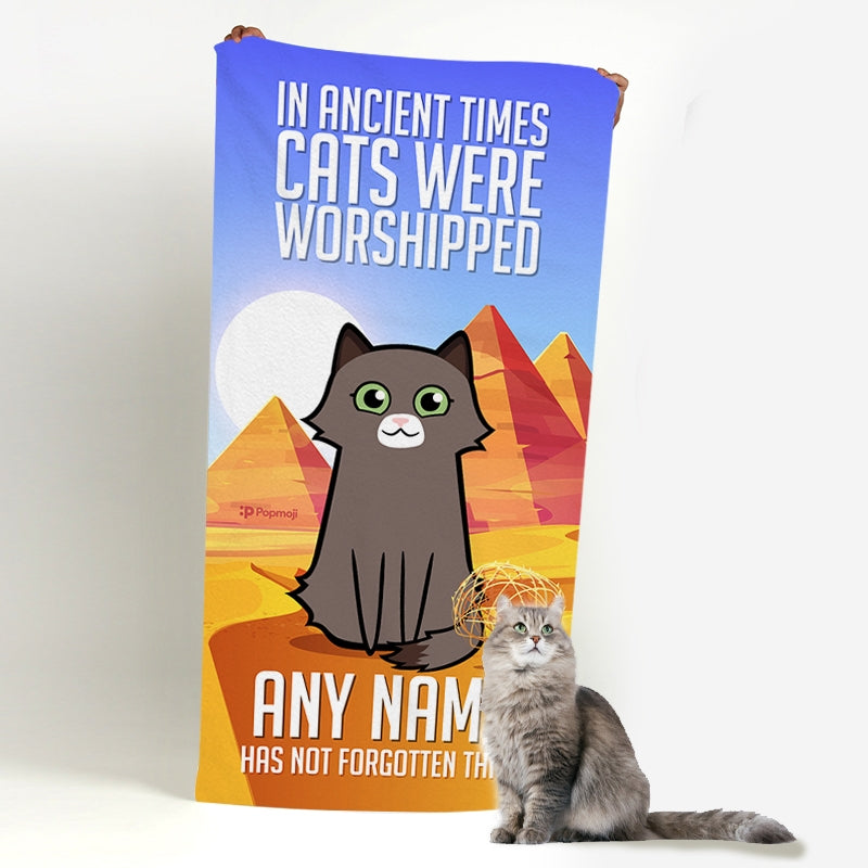 Personalised Cat Ancient Times Beach Towel - Image 1